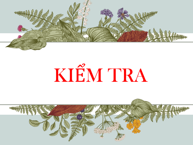 LỊCH KIỂM TRA CUỐI KỲ I NĂM HỌC 2025-2026